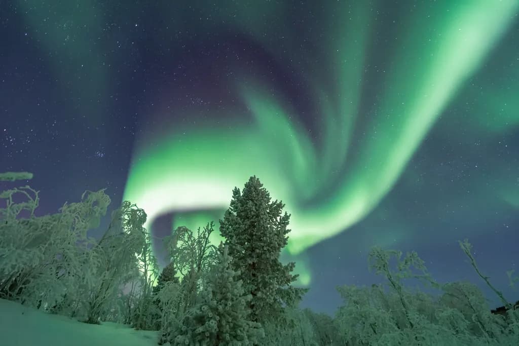 Aurora Nightscape