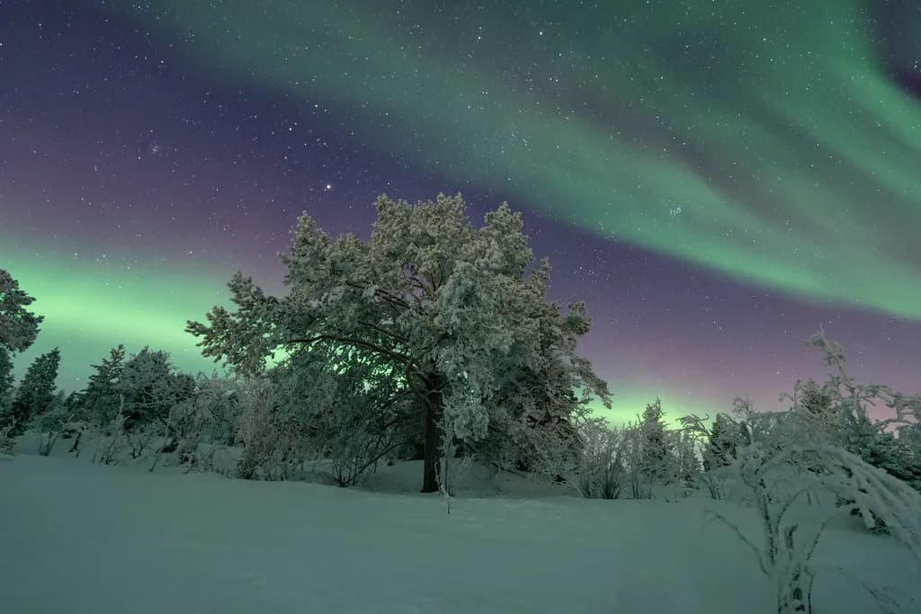 Northern Lights Serenity