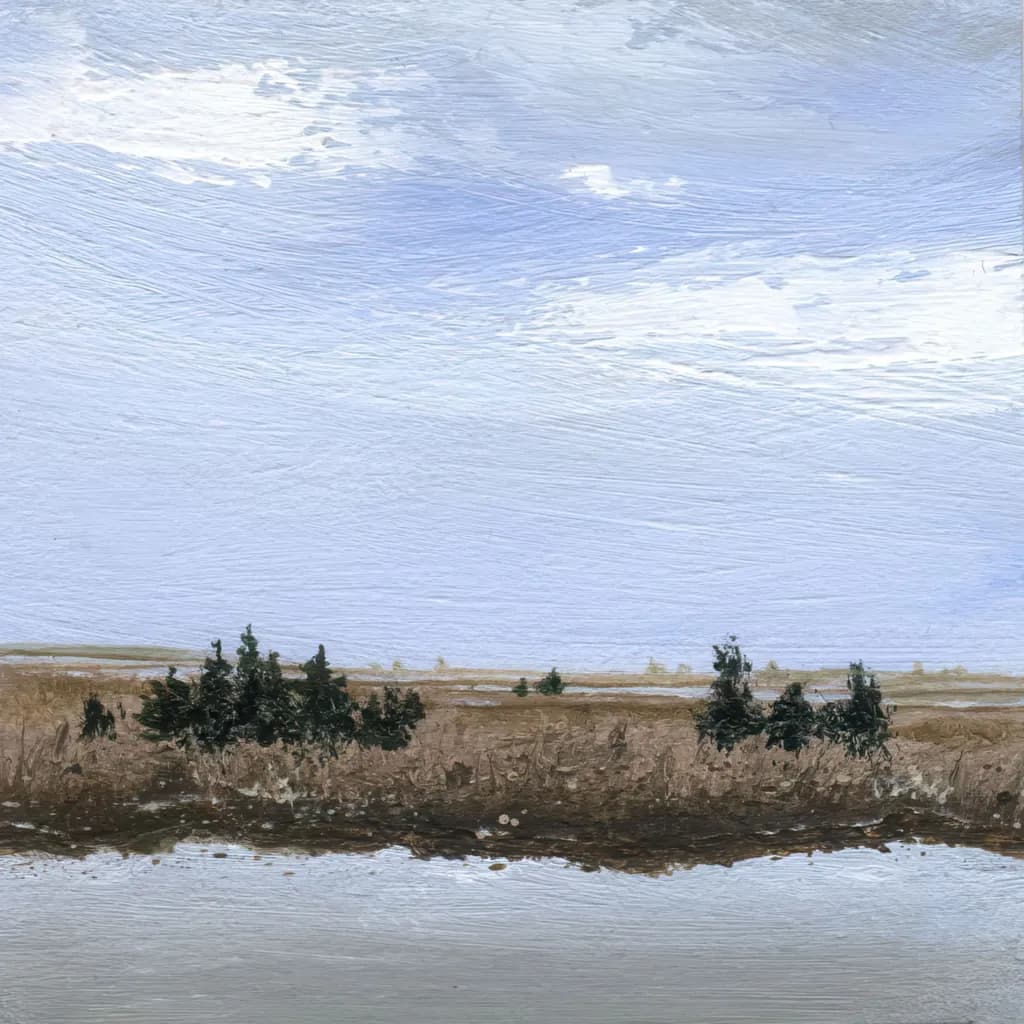 Trees in the Mire