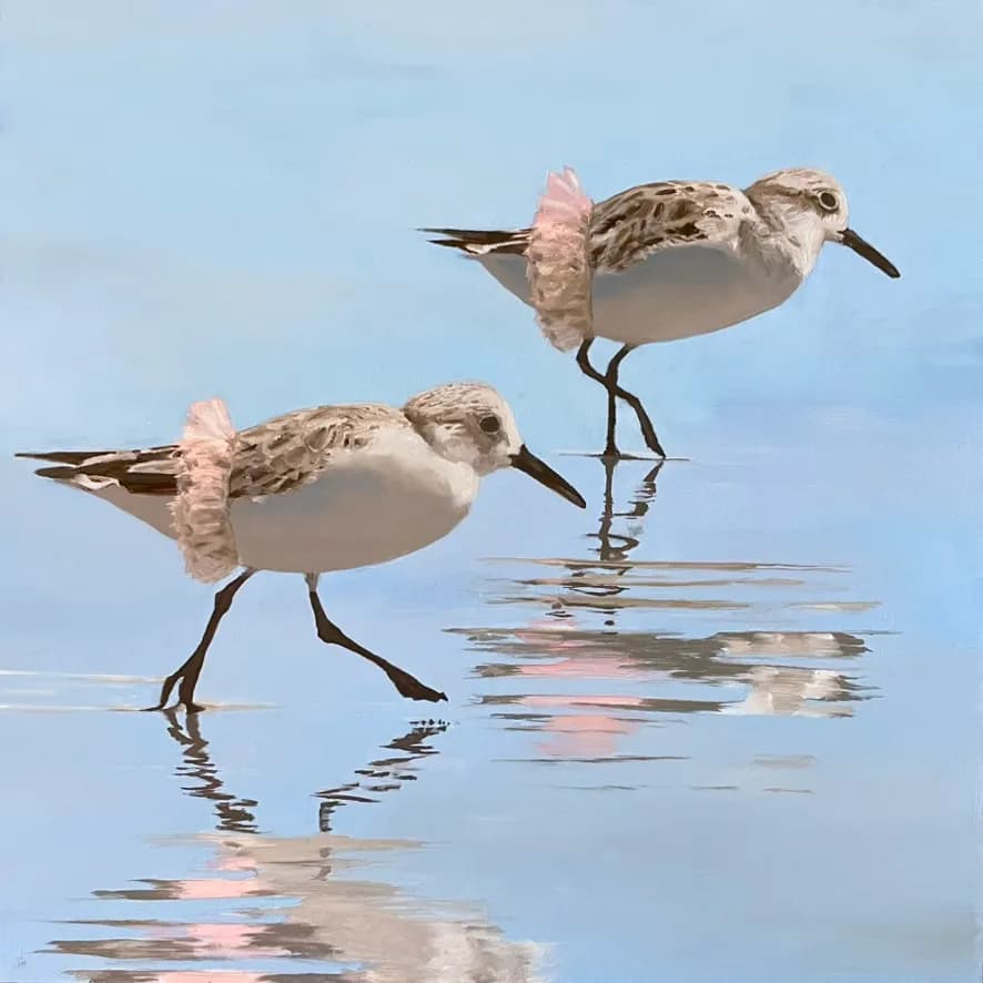 Serene Reflections: Playful Birds Dancing on Water's Surface