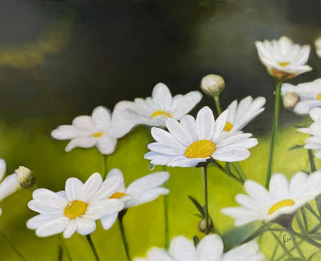 Whispers of Spring: A Lush Daisy Meadow in Bloom
