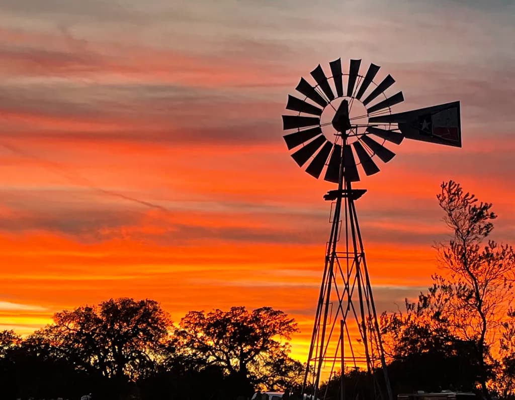 Whispers of the Wind: A Silhouette Against a Fiery Sunset