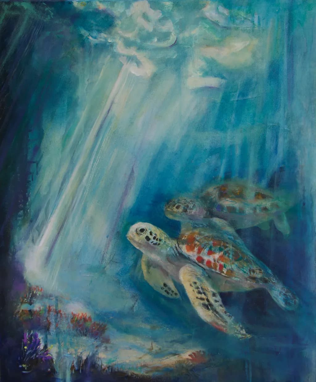 Turtle Passage