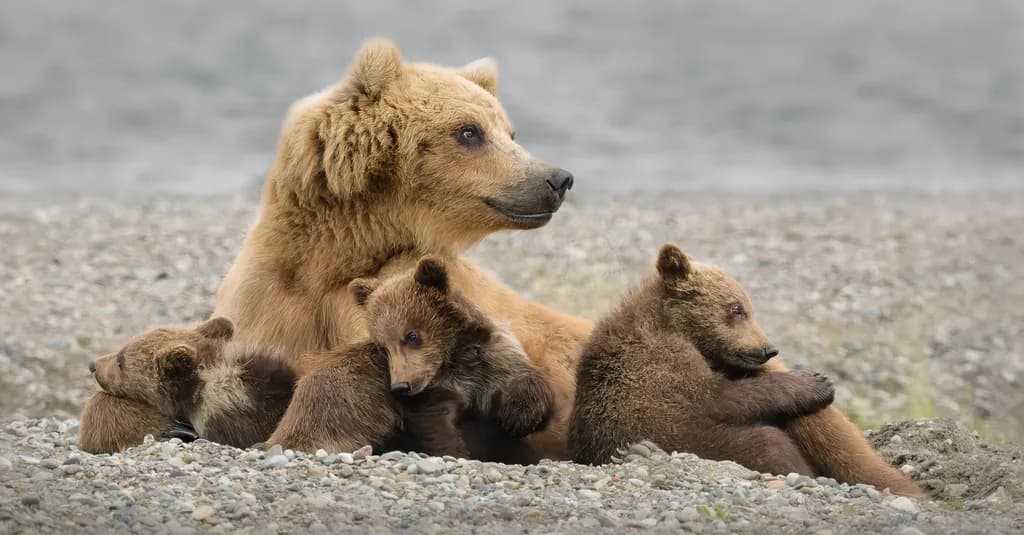 Motherhood