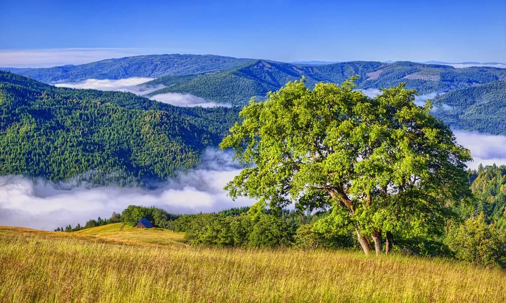 Misty Valley Panorama