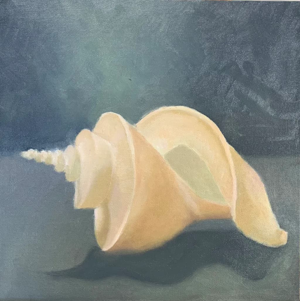 Whispers of the Sea: A Serene Shell Study in Soft Hues