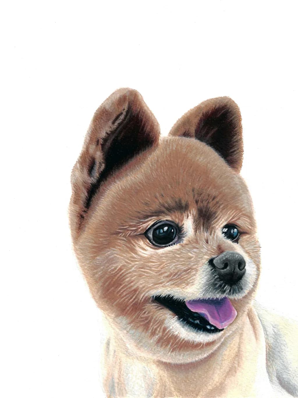 Polly Portrait