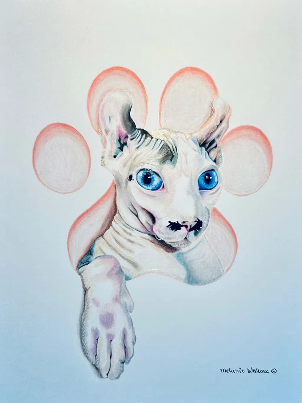 Pet Portrait