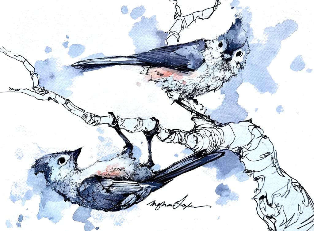 Tufted Titmice