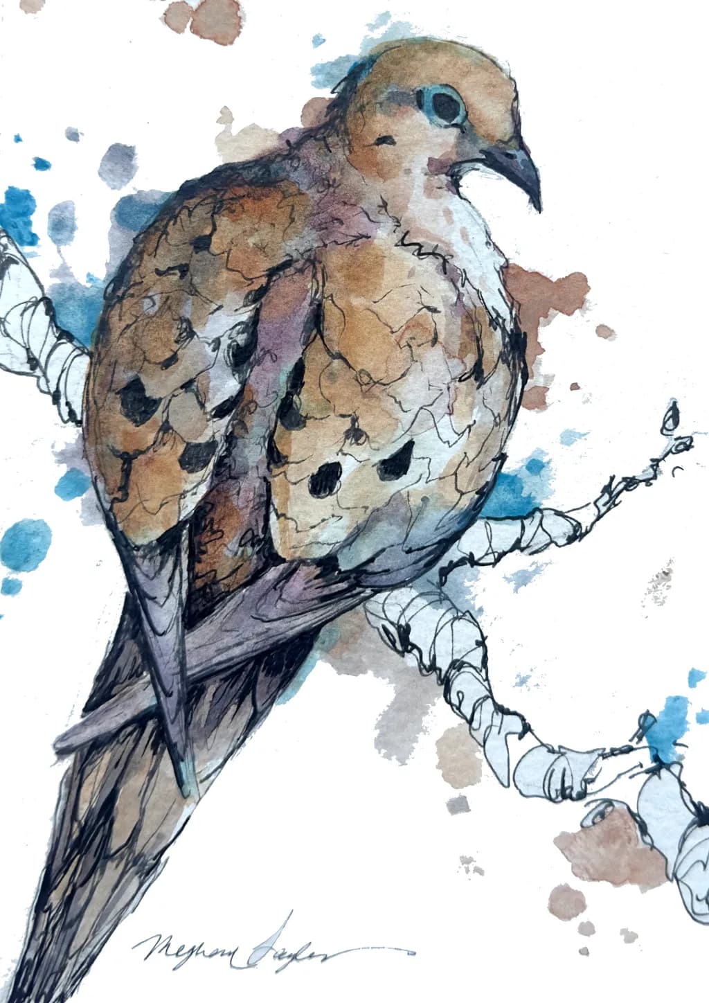 Mourning Dove