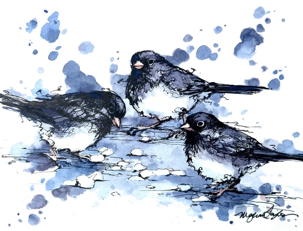 Dark Eyed Juncos