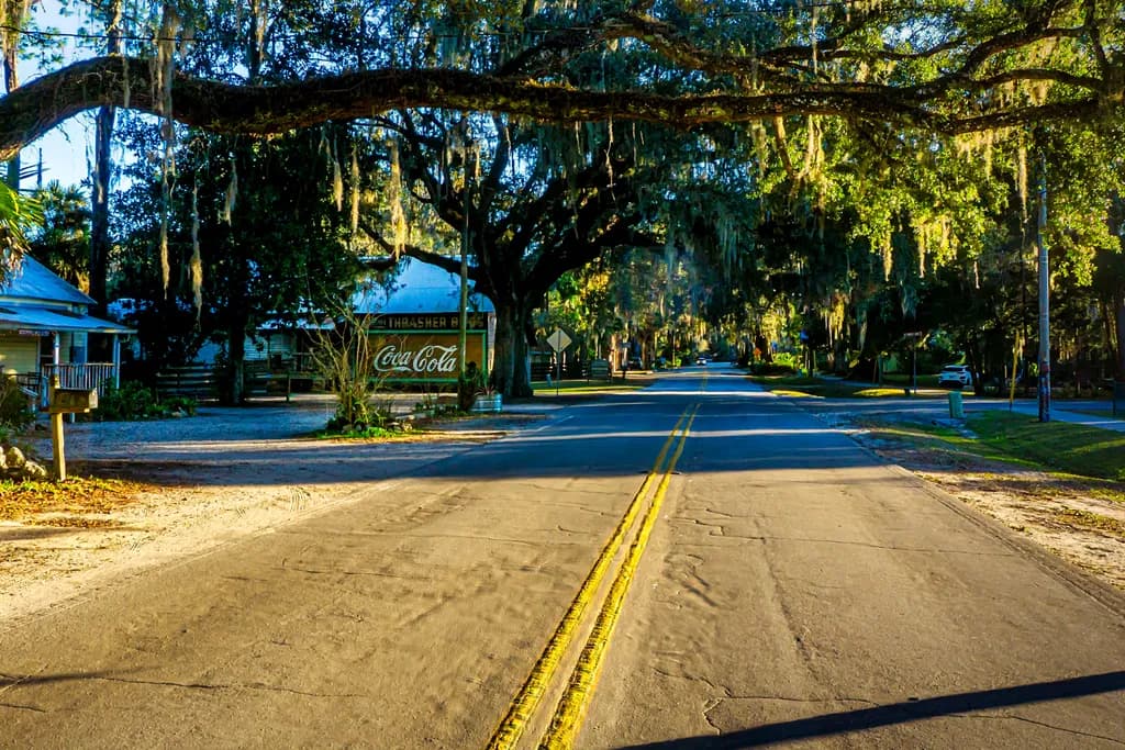 Southern Roadway Serenity