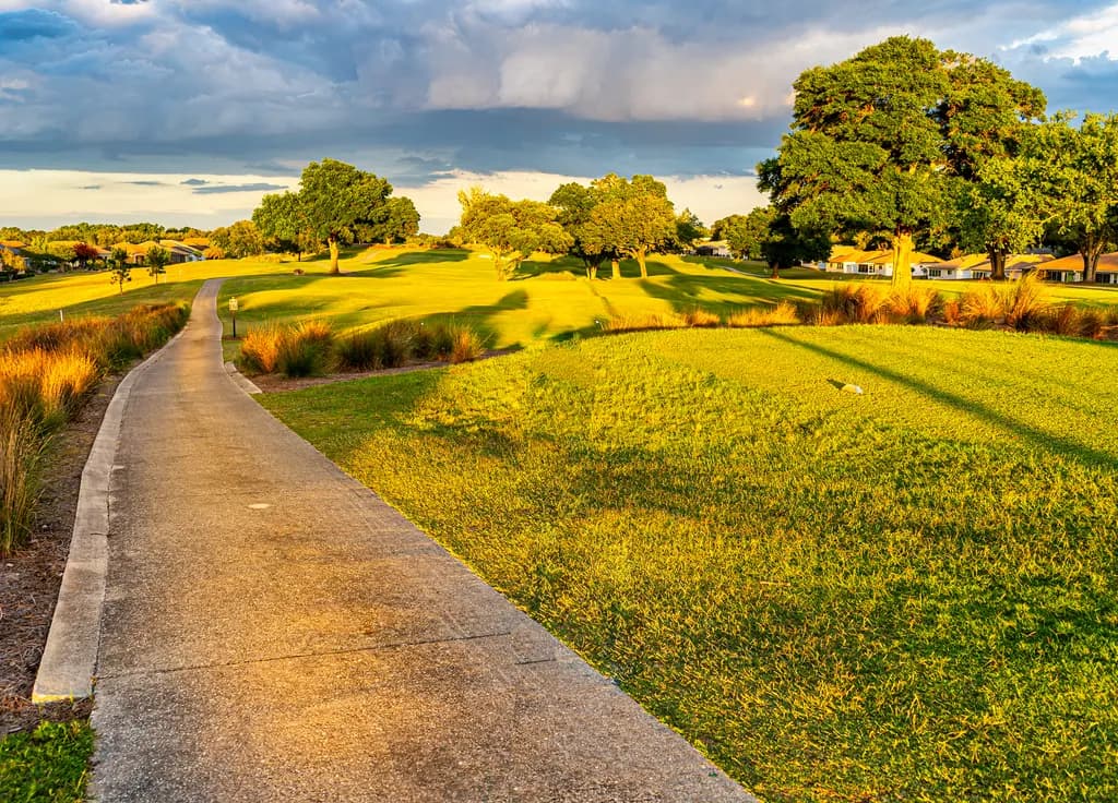 Golden Afternoon Pathway