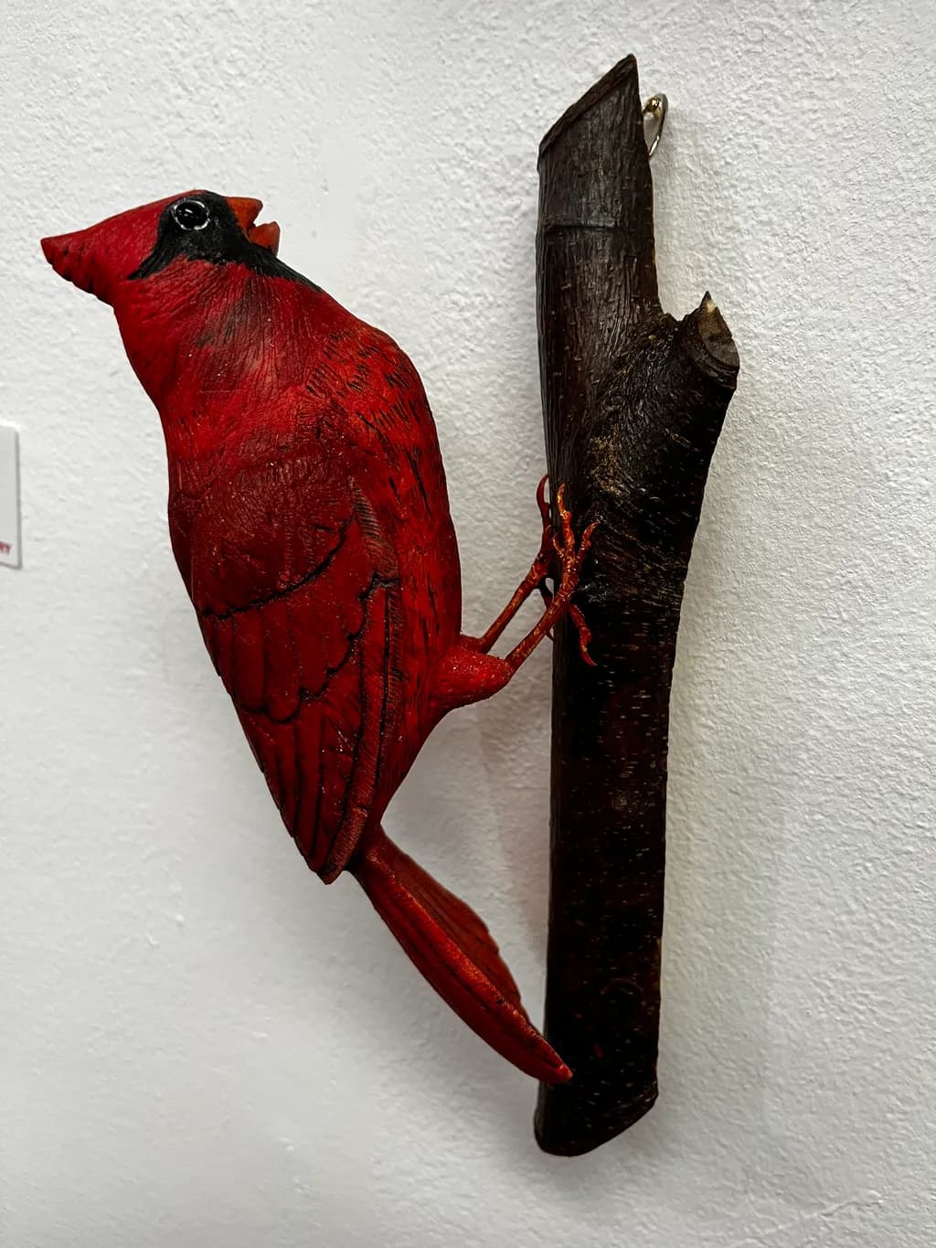 Cardinal on Branch
