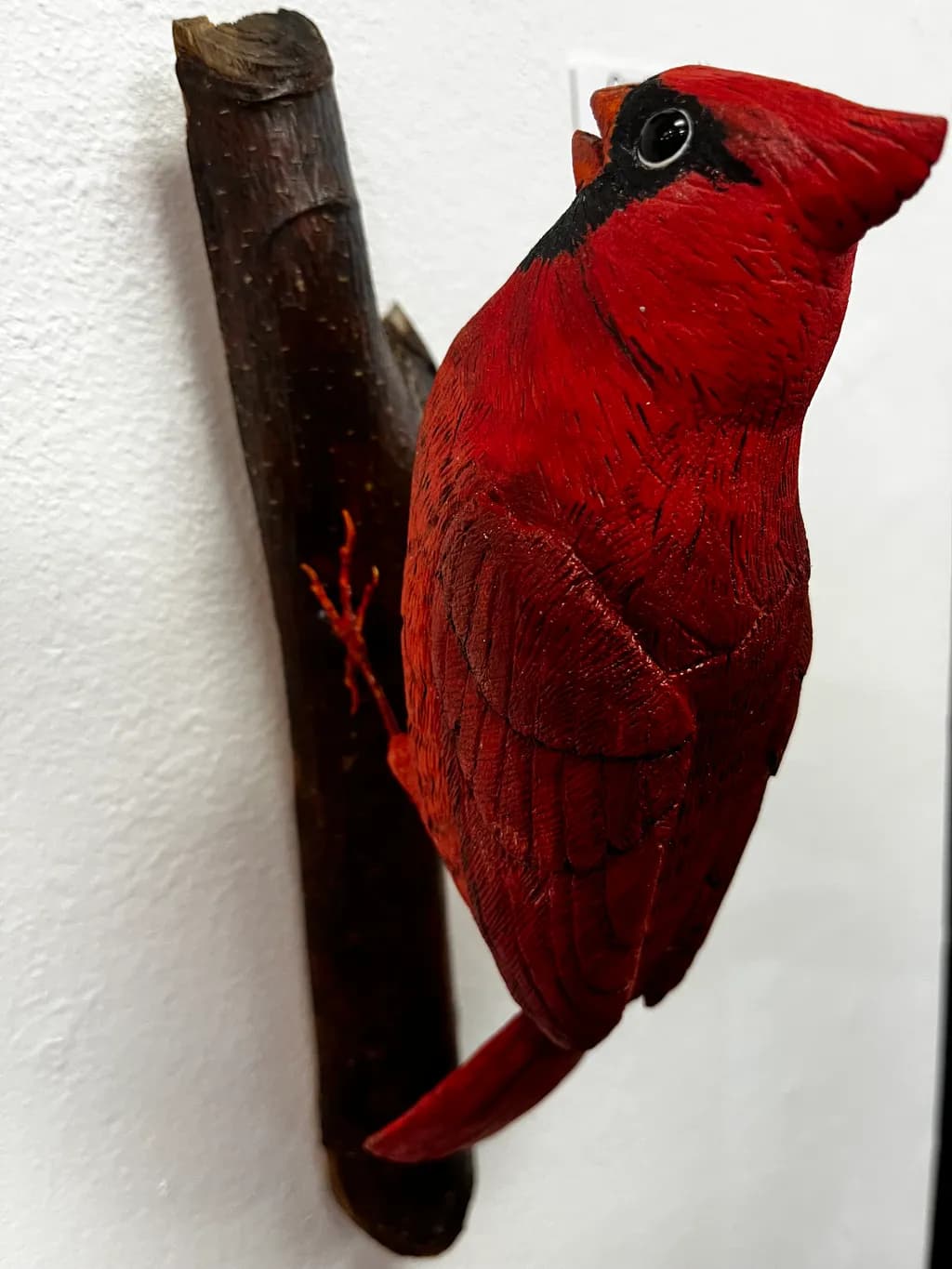 Cardinal on Branch