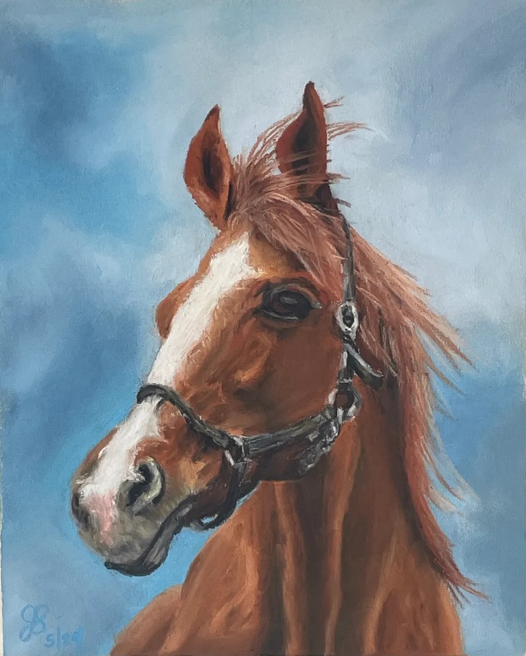 A horse for Kyla 