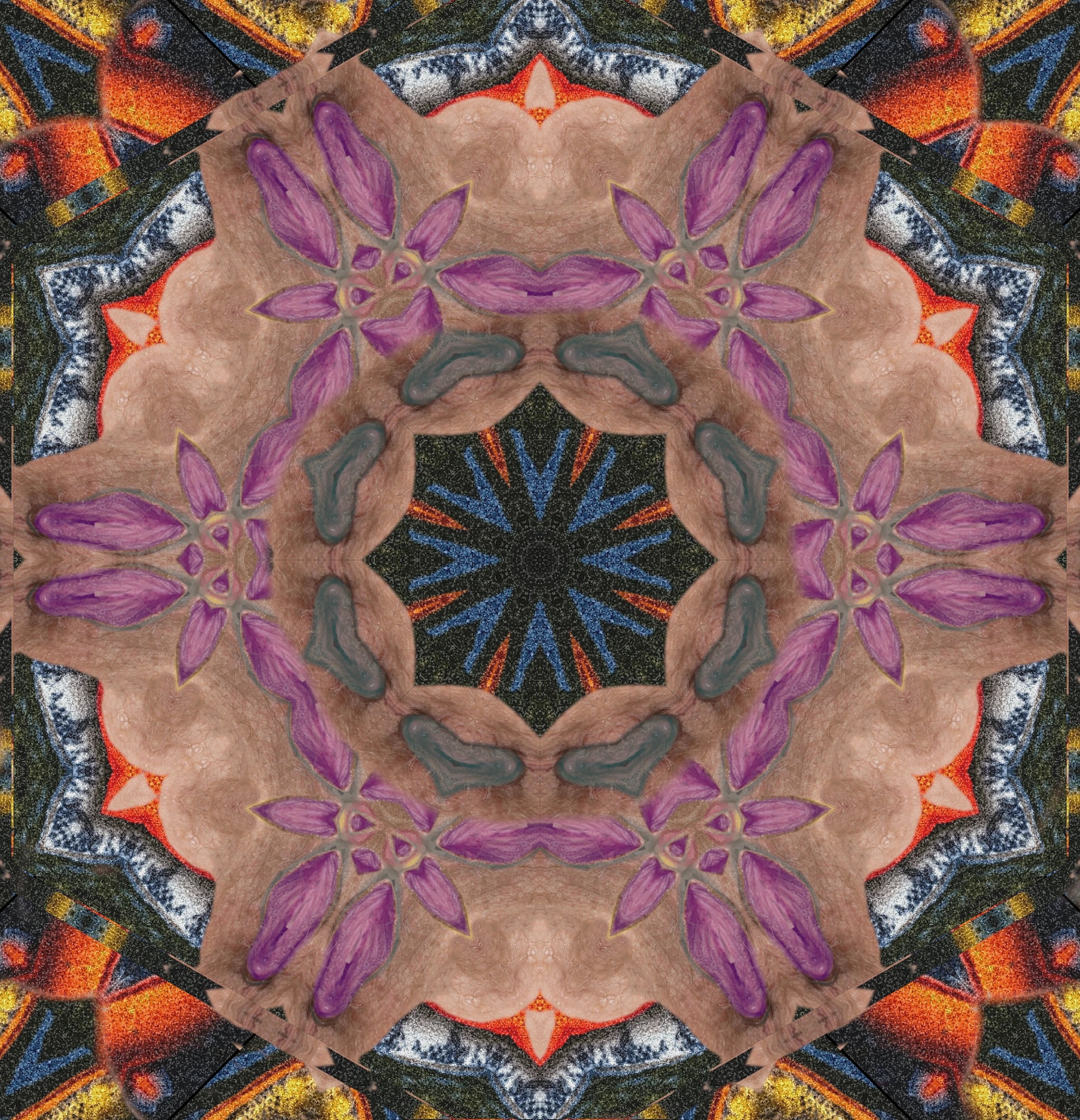Flower Petals & Fish Fur