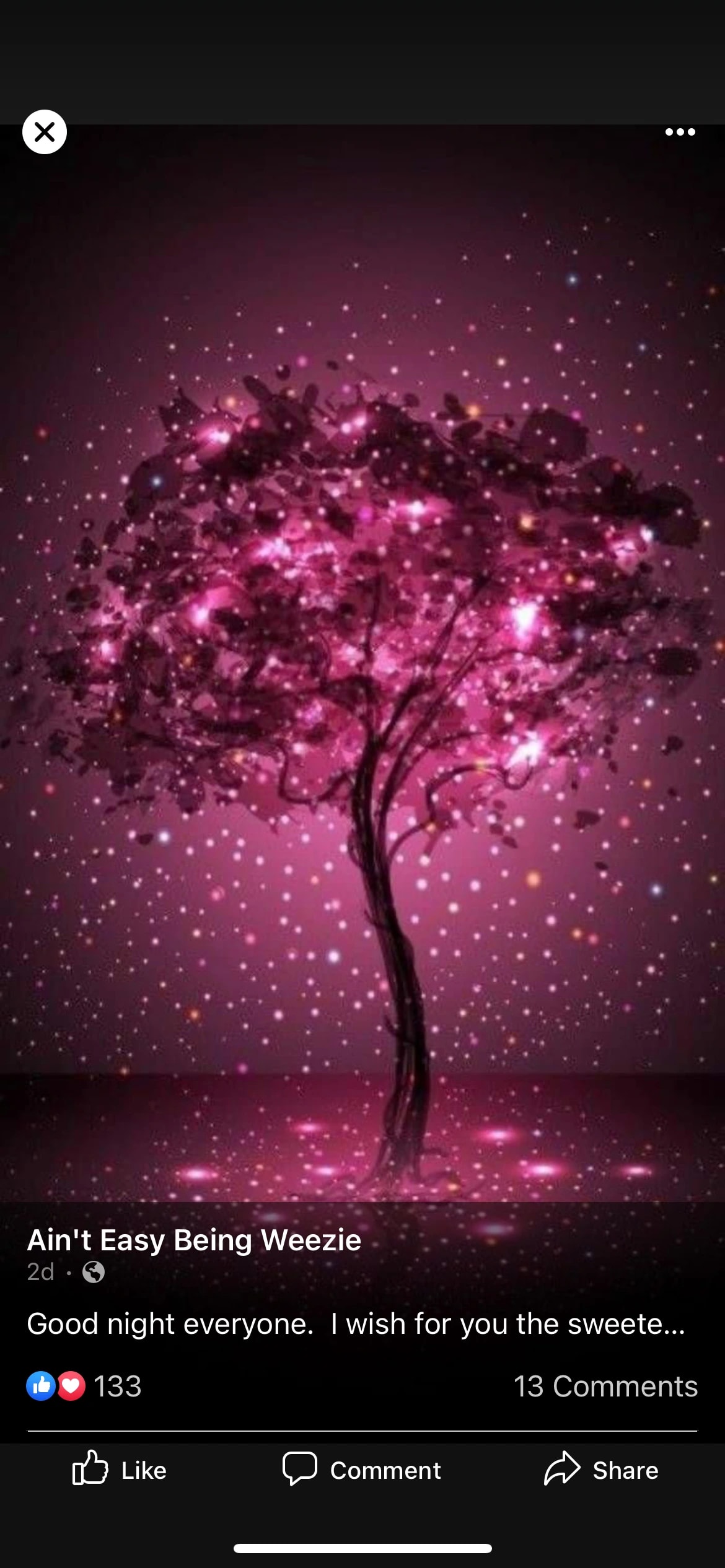 Whispers of a Glowing Pink Tree Under a Starry Night Sky