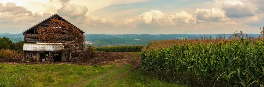 Whispers of the Past: A Rustic Barn Amidst Golden Fields and Rolling Hills