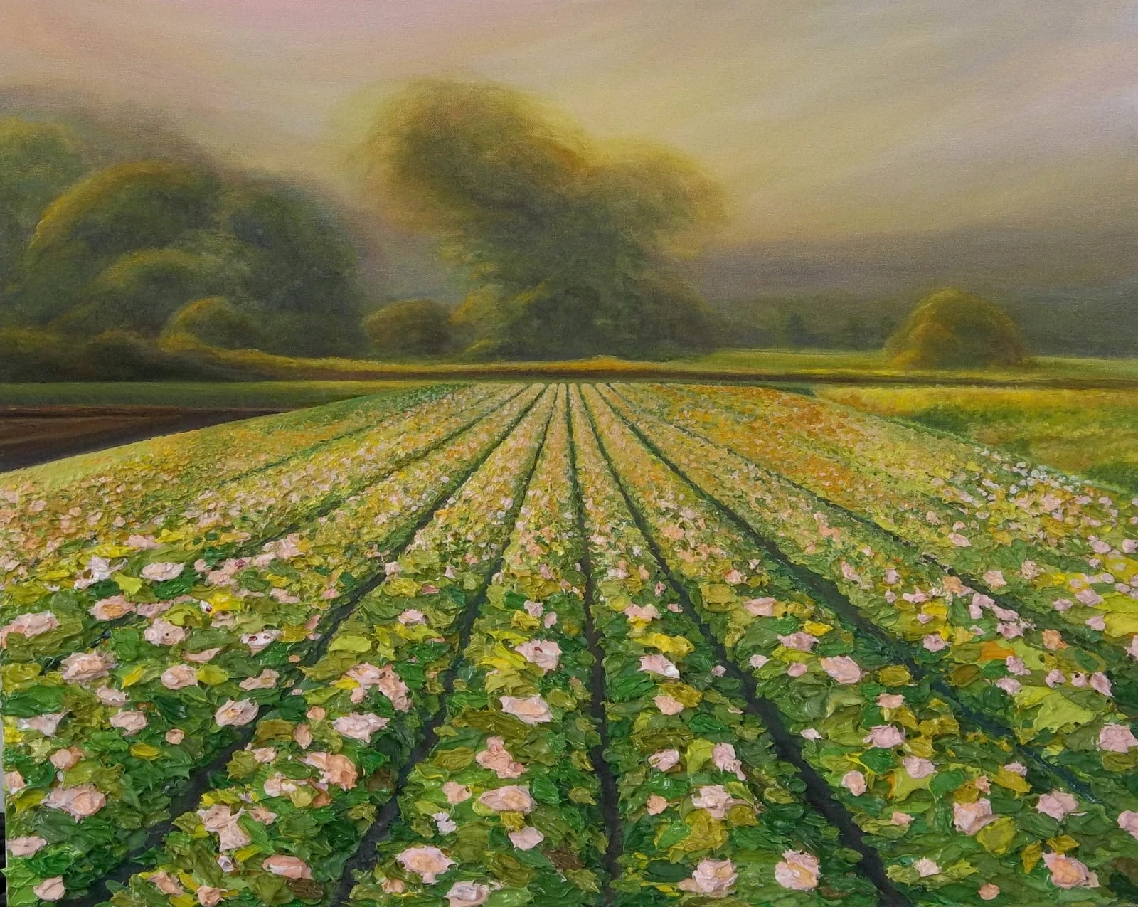 Sunset Flower Field