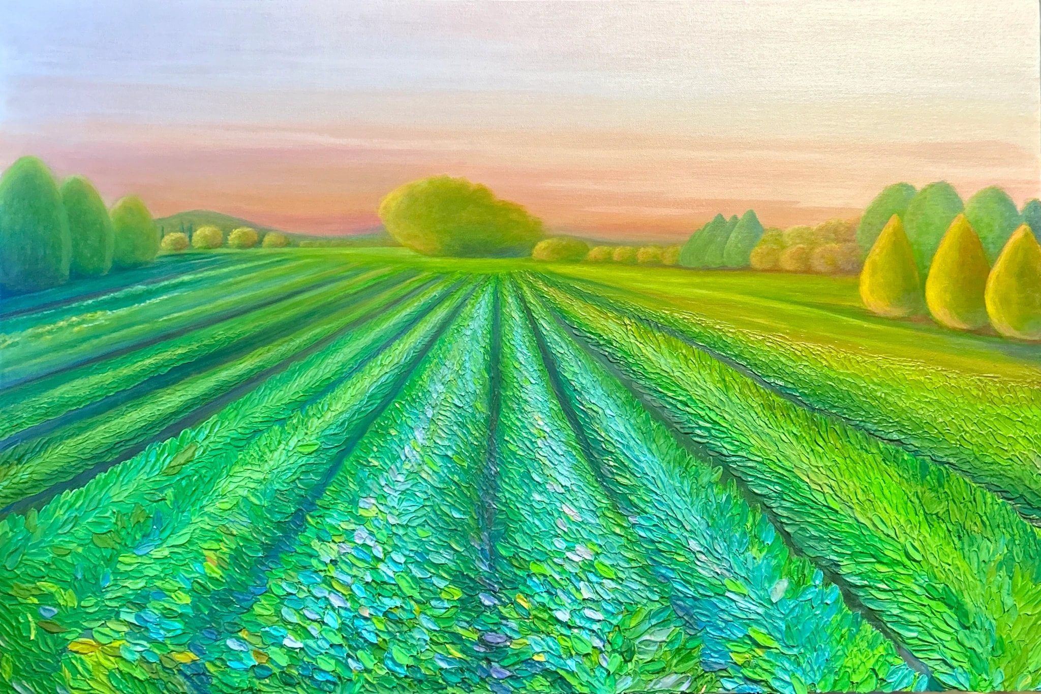Rows at Dusk