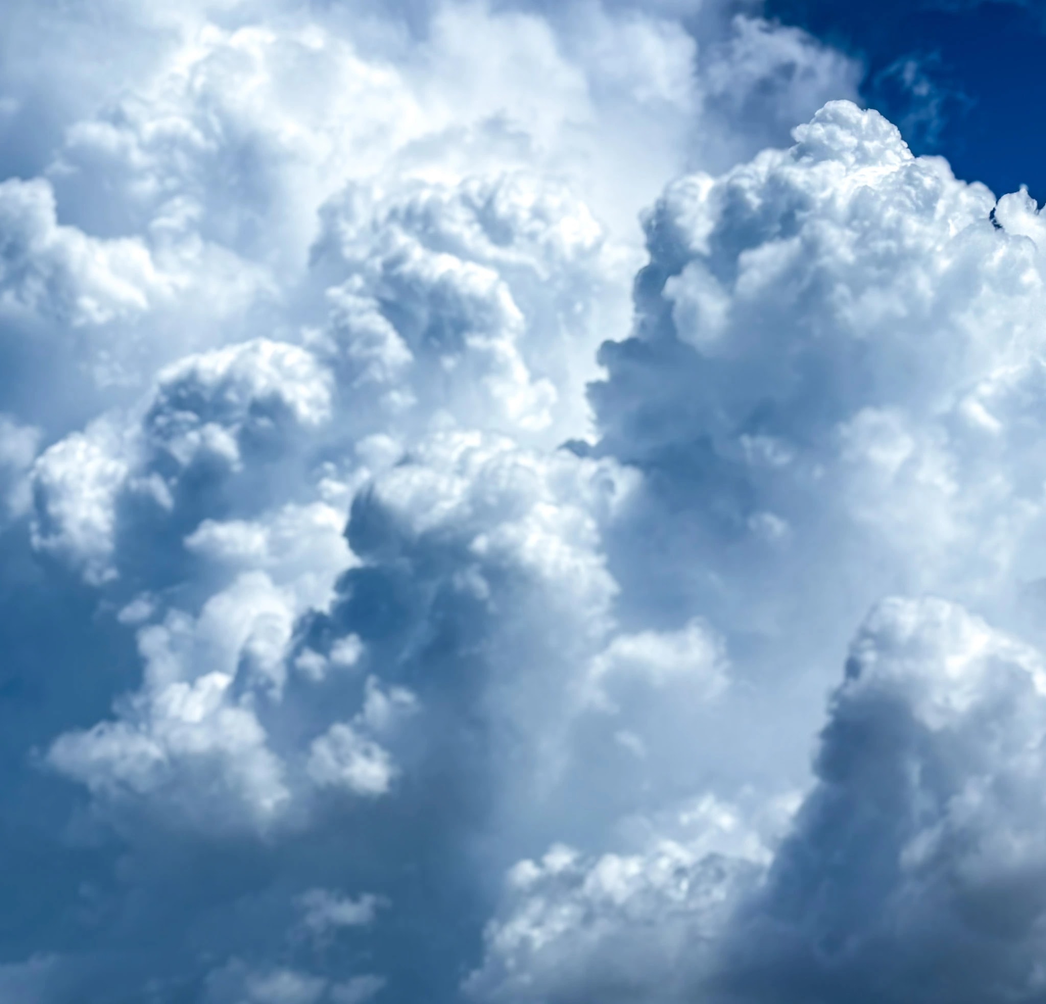 White Billow Clouds