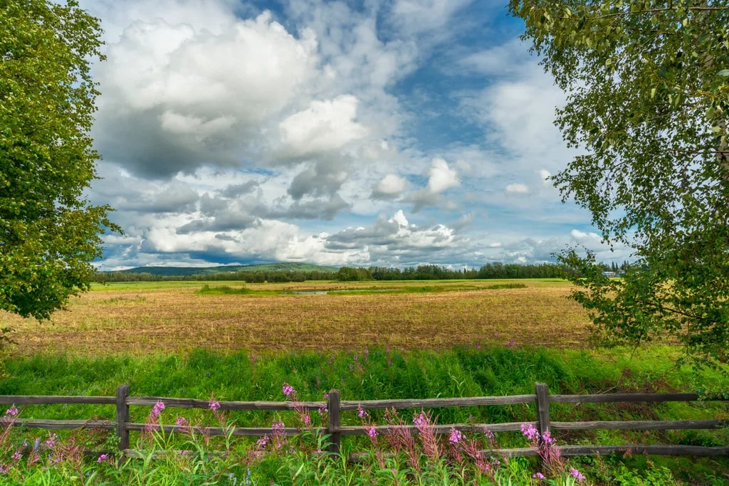 Wildlife Refuge View