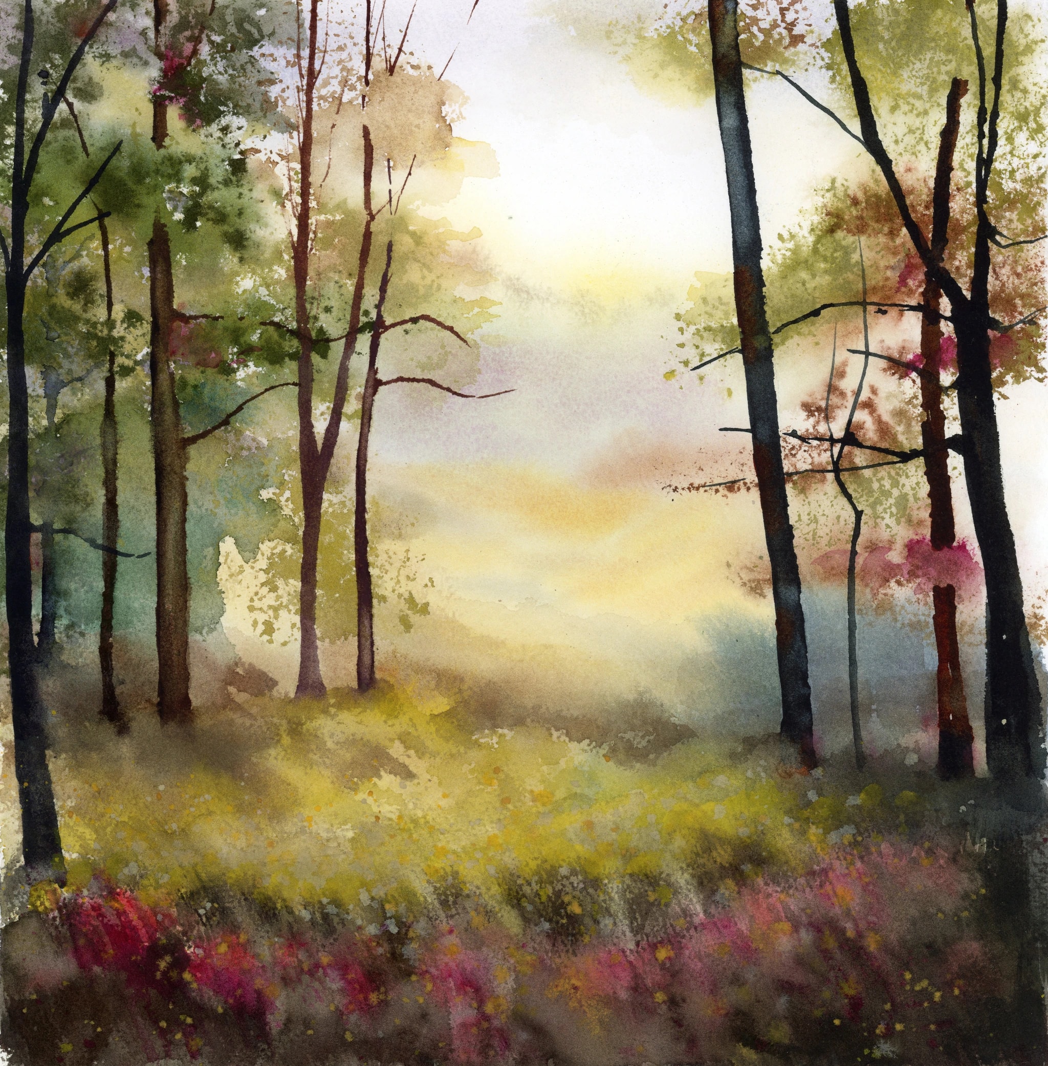 Light Through the Forest