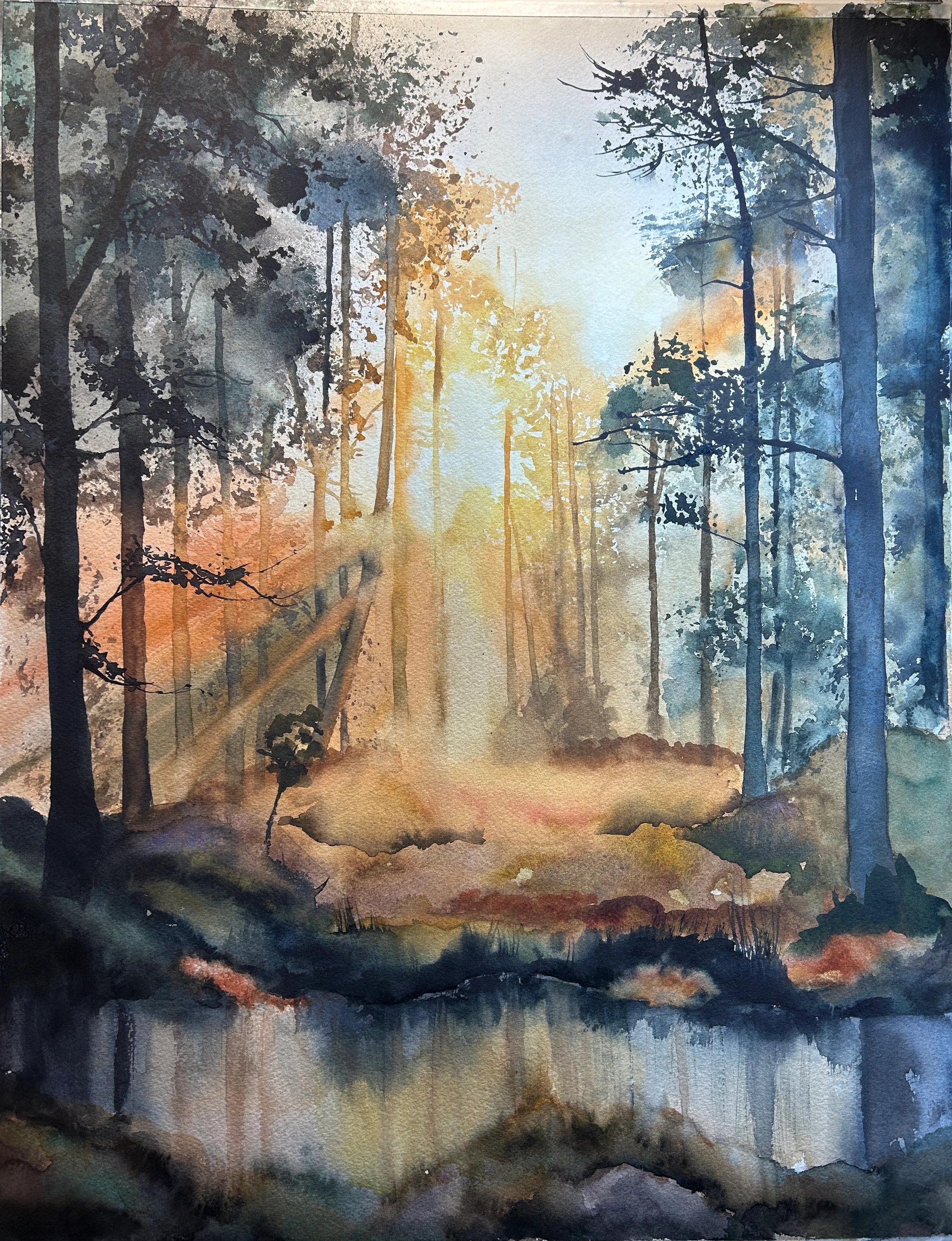 Sunlit Woodland Reflections