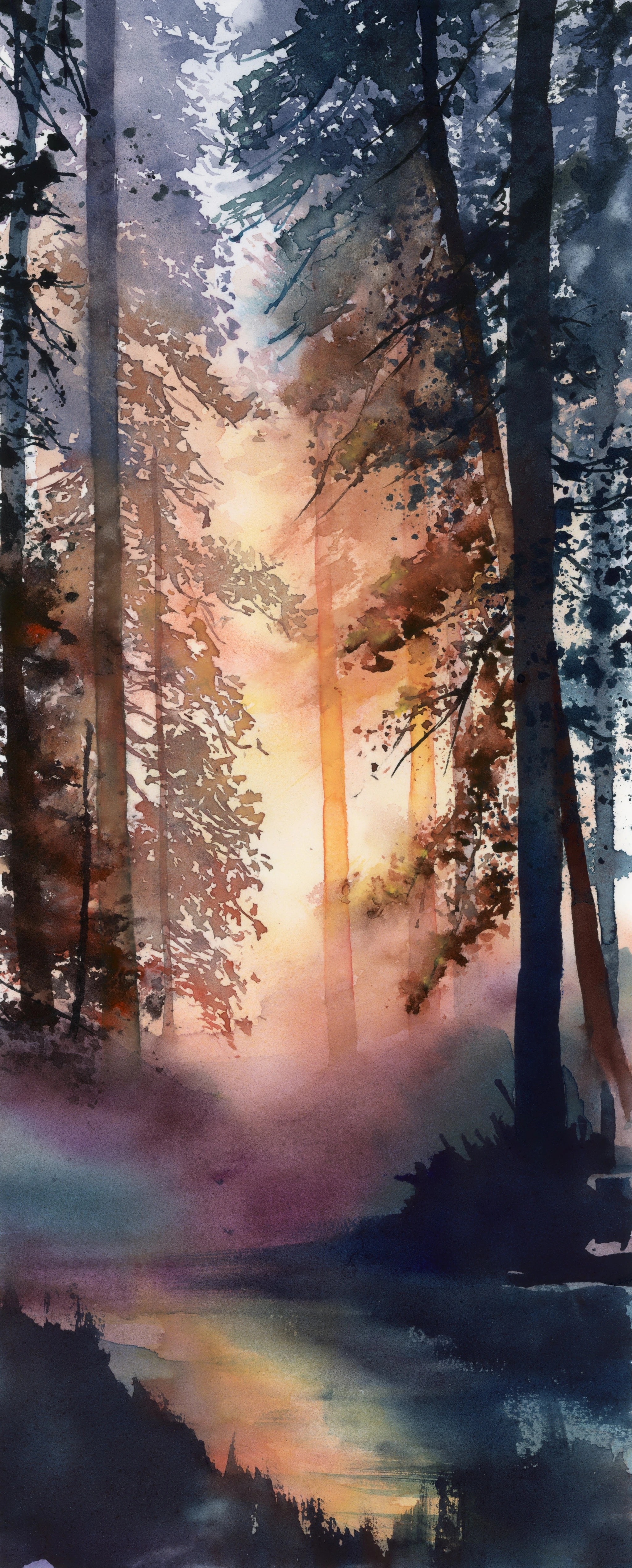 Forest Sunset Silhouette