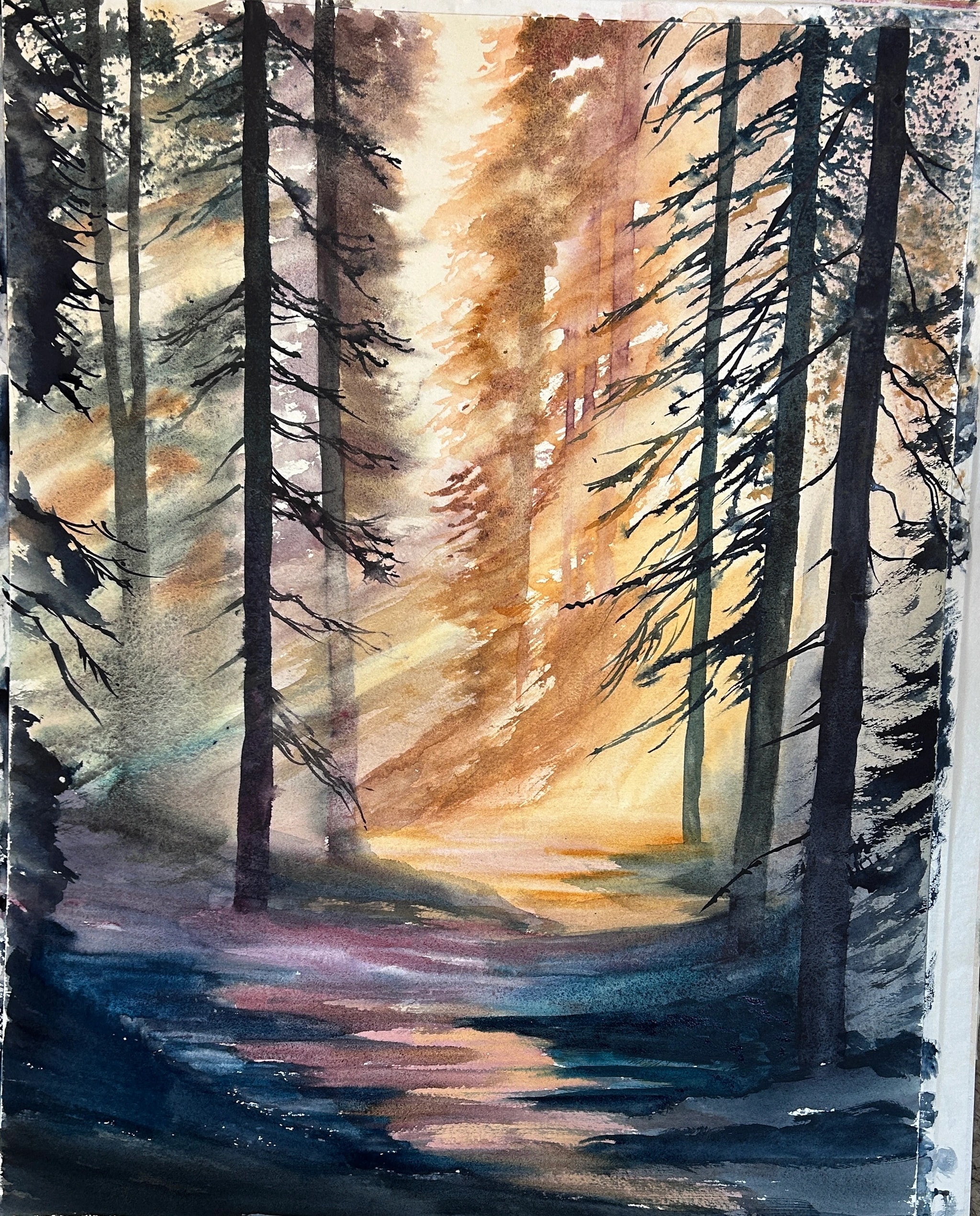 Sunlit Forest Clearing