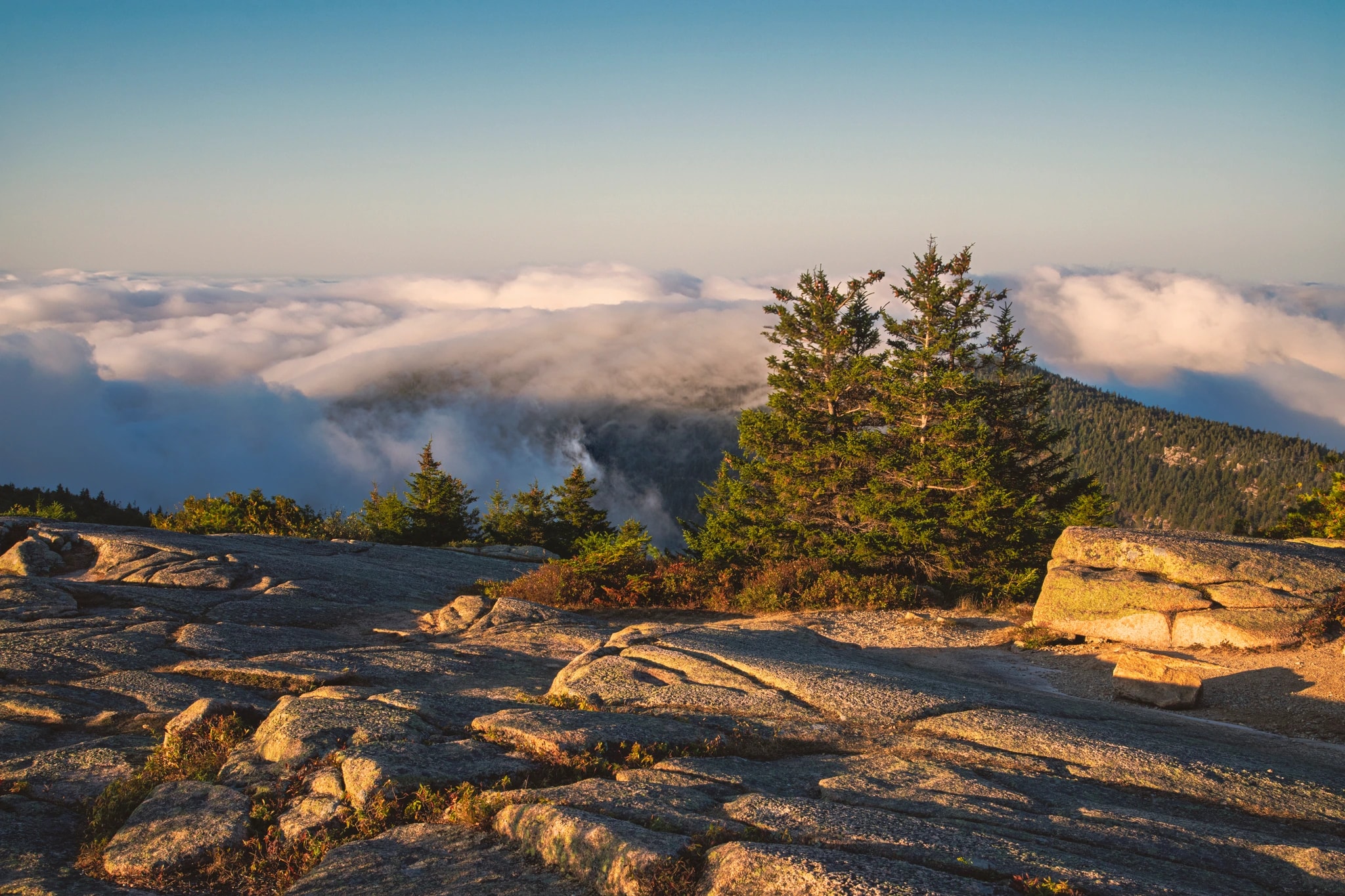 Sunrise on Cadillac Mountain