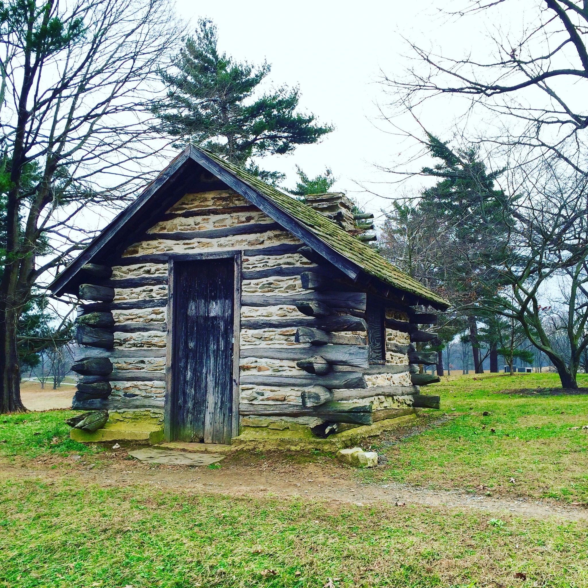 Rustic Log Haven