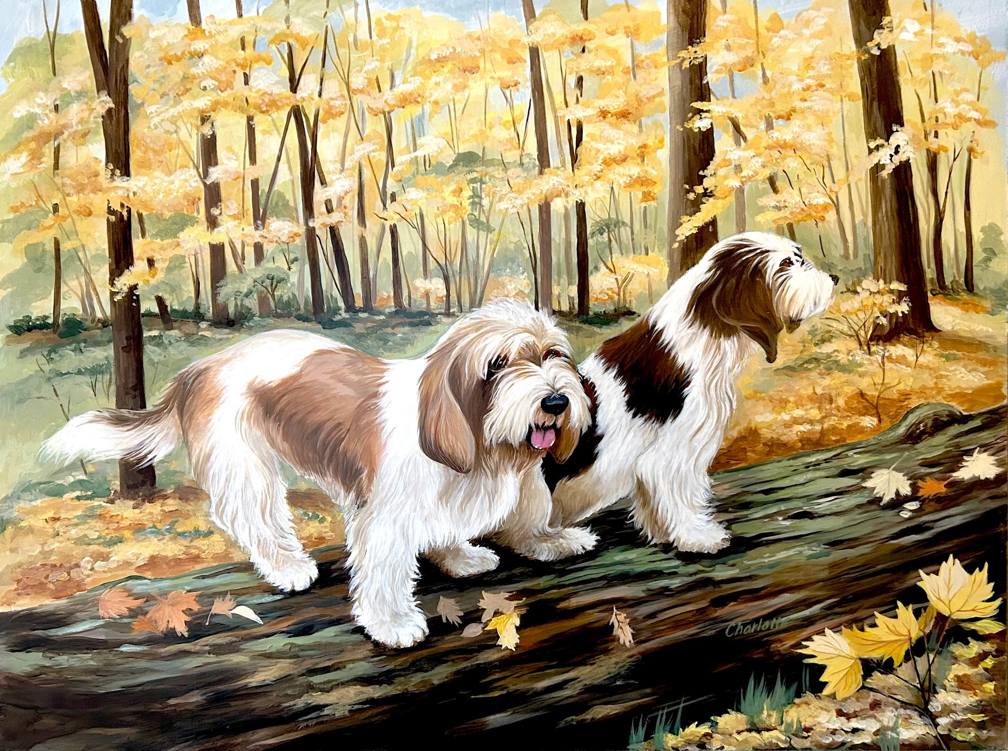 Forest Companions