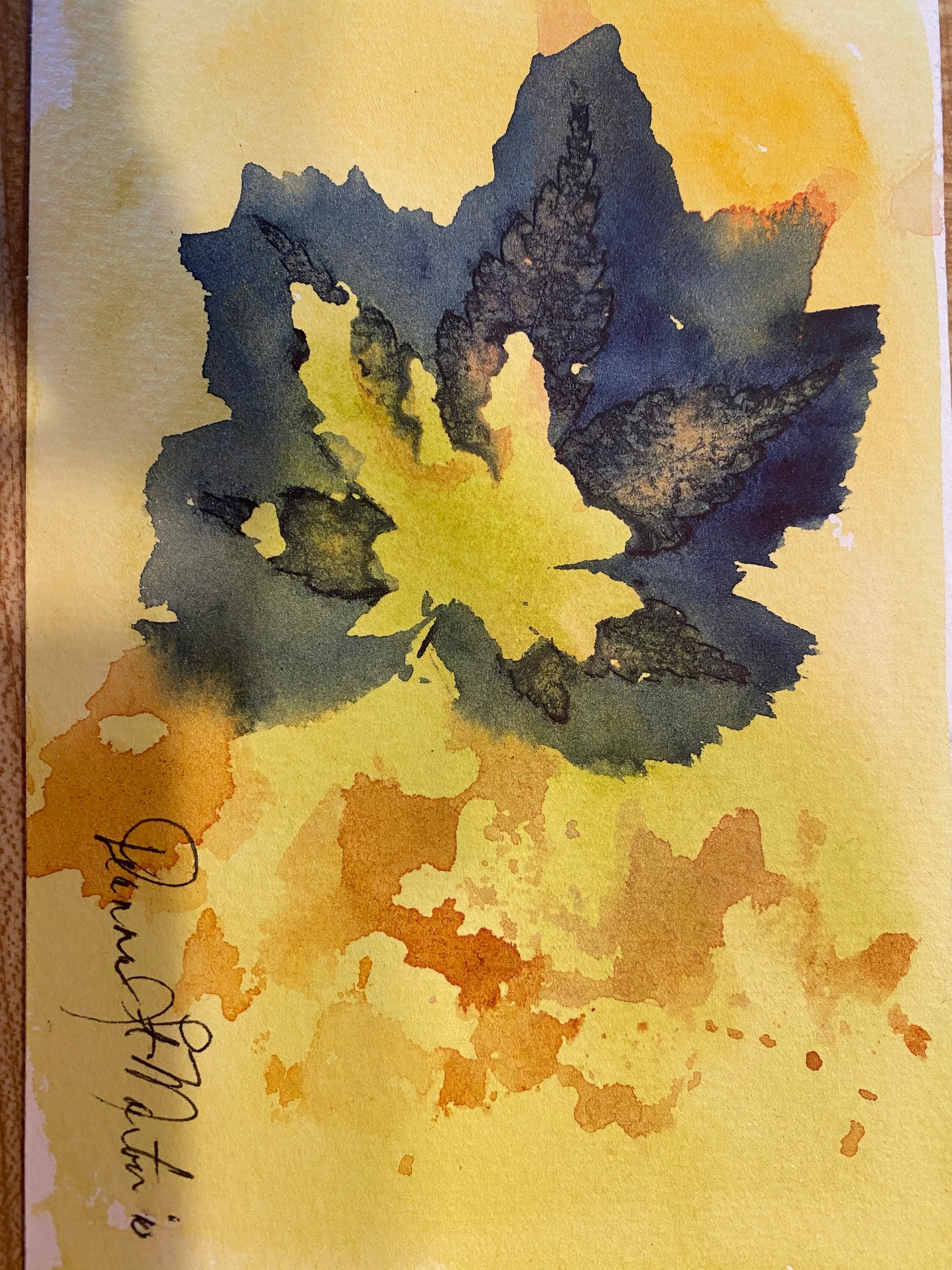 Golden Indigo Bloom