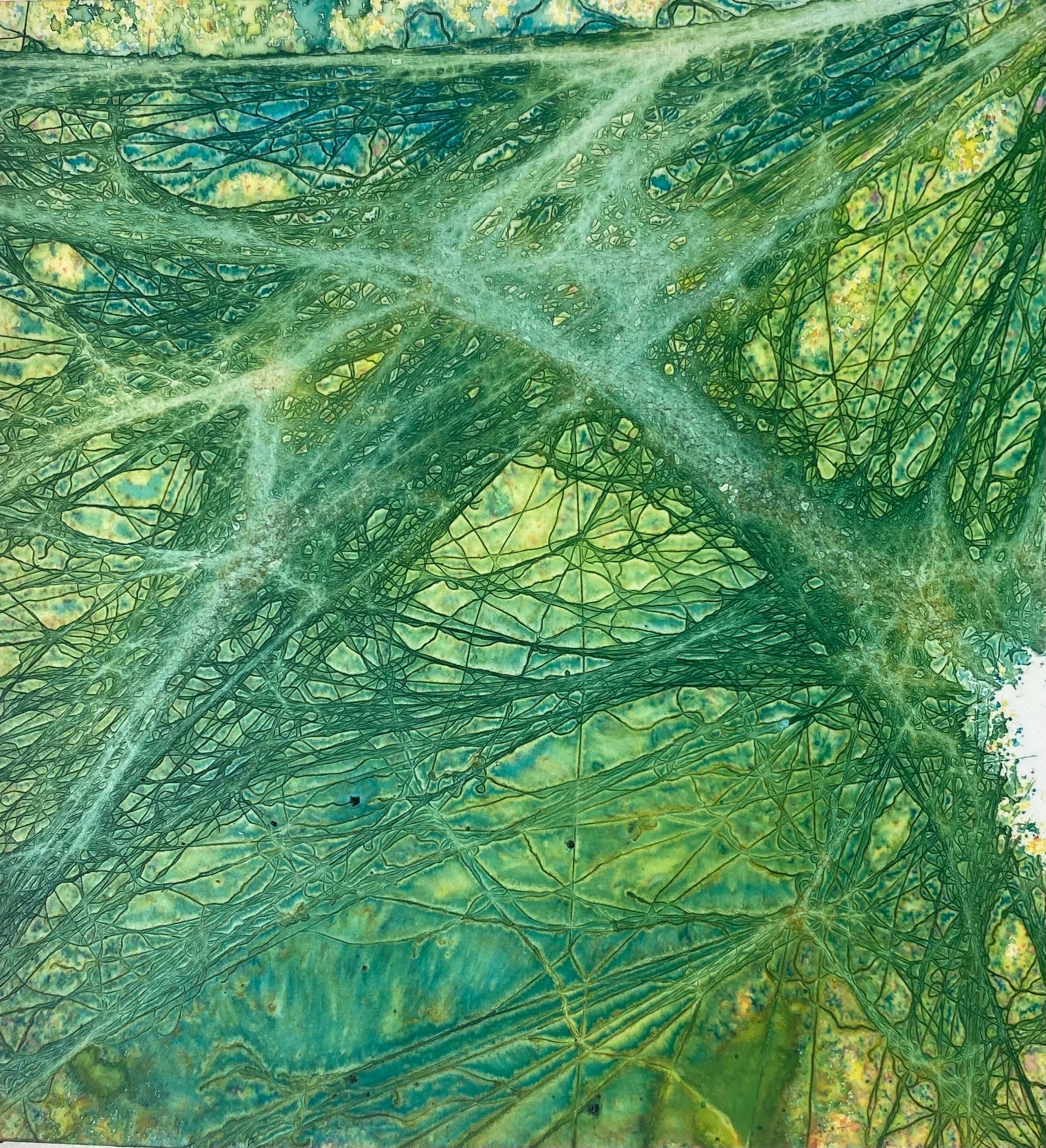 Green Tangle