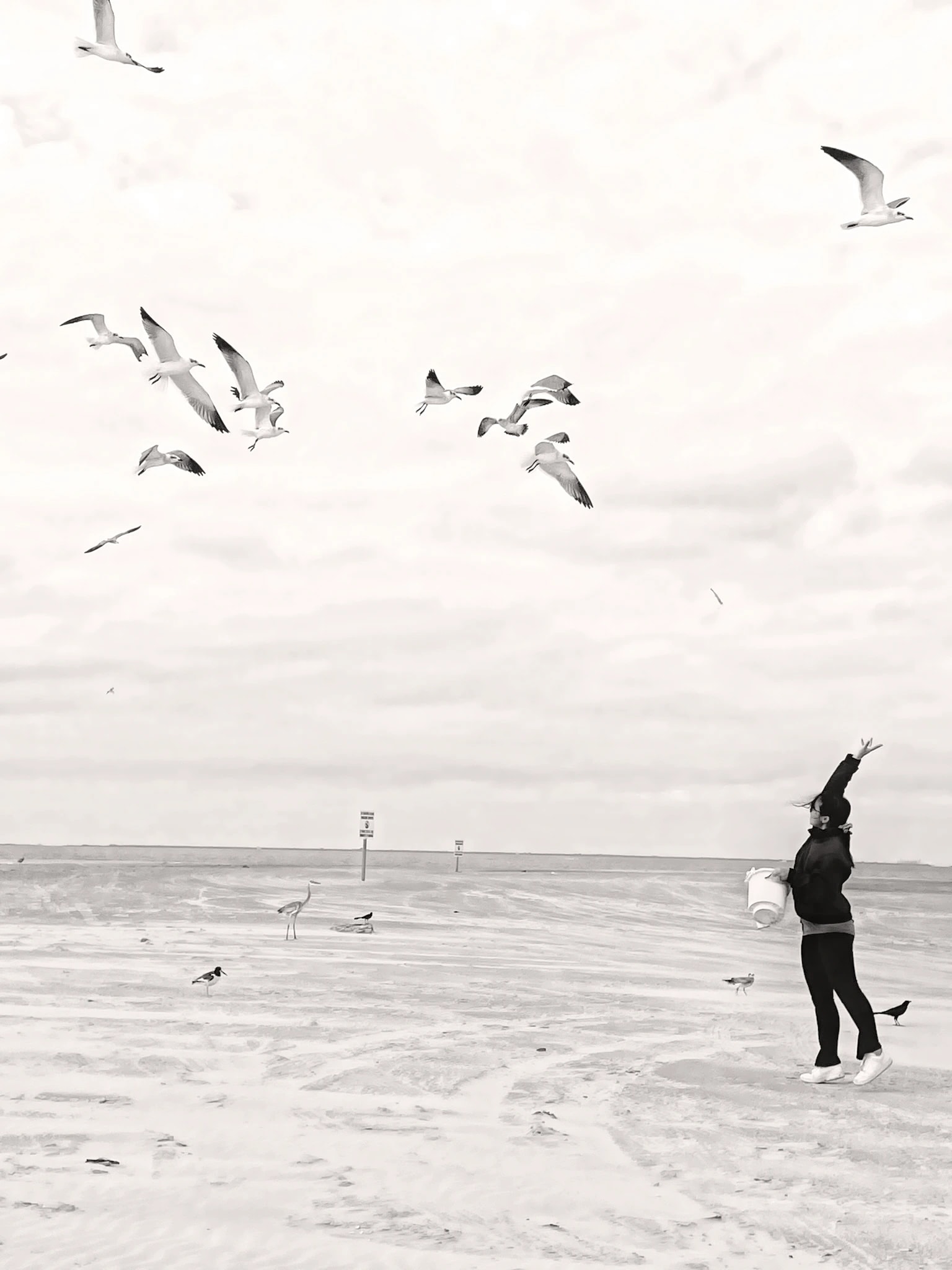 Tossed Moments