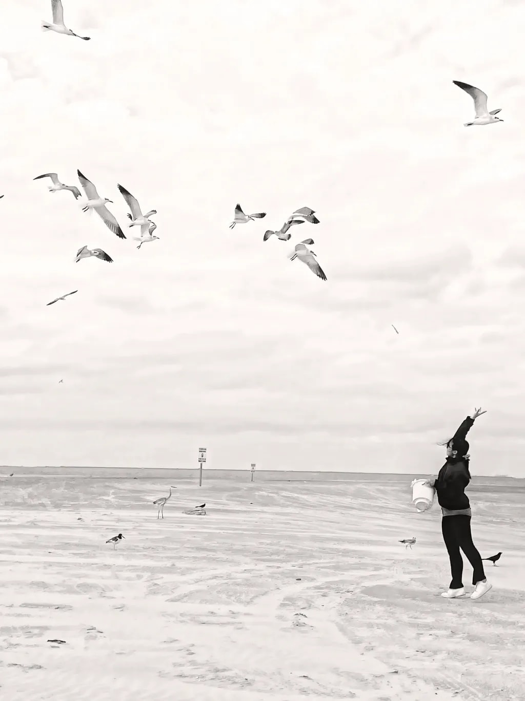 Tossed Moments