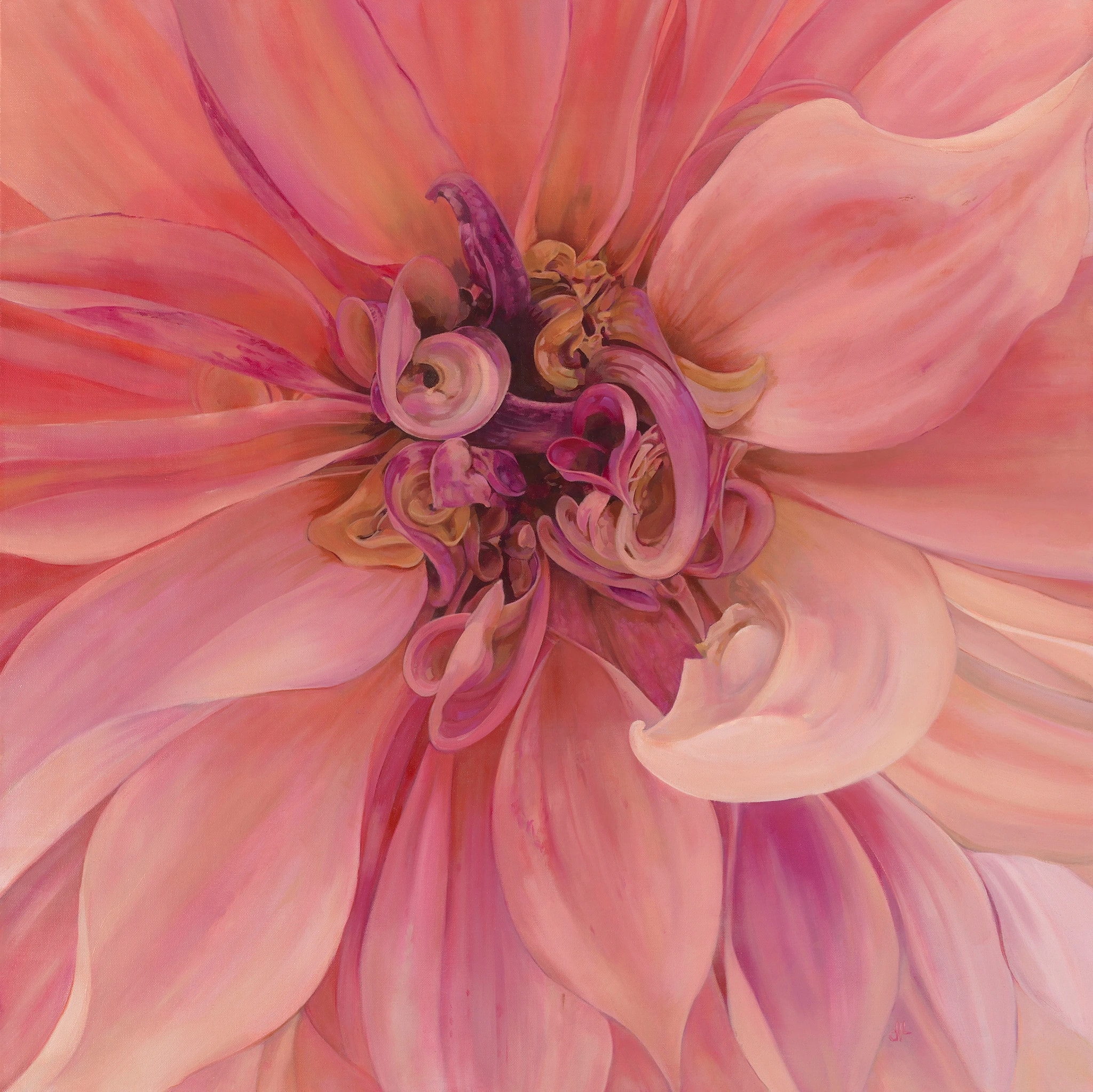 Hello Dahlia