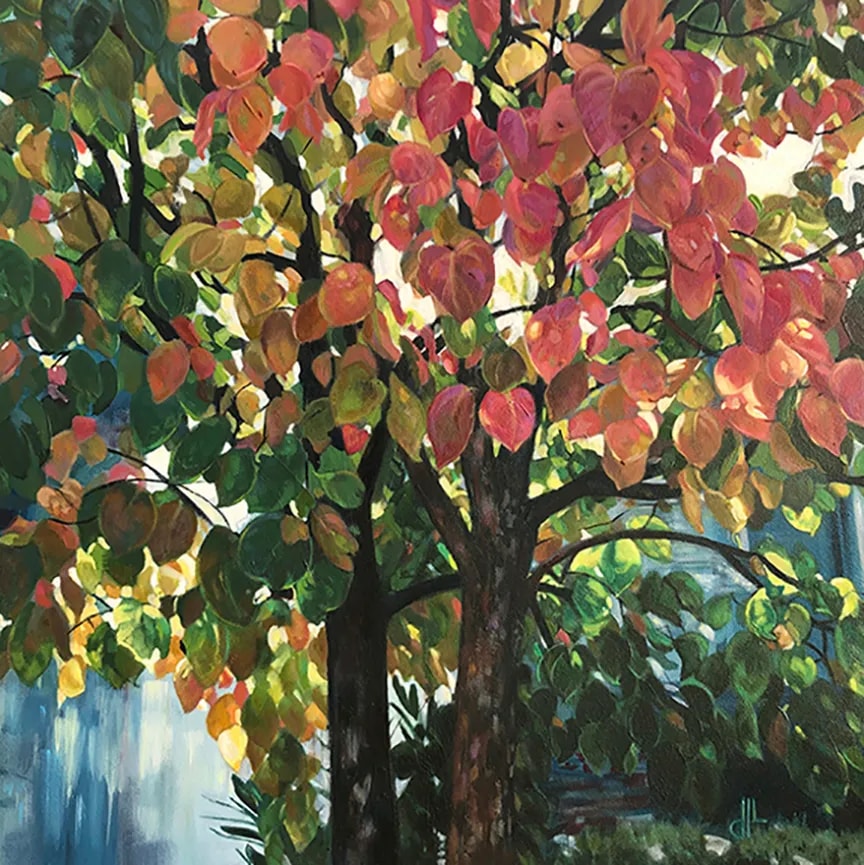 Aurora Tree