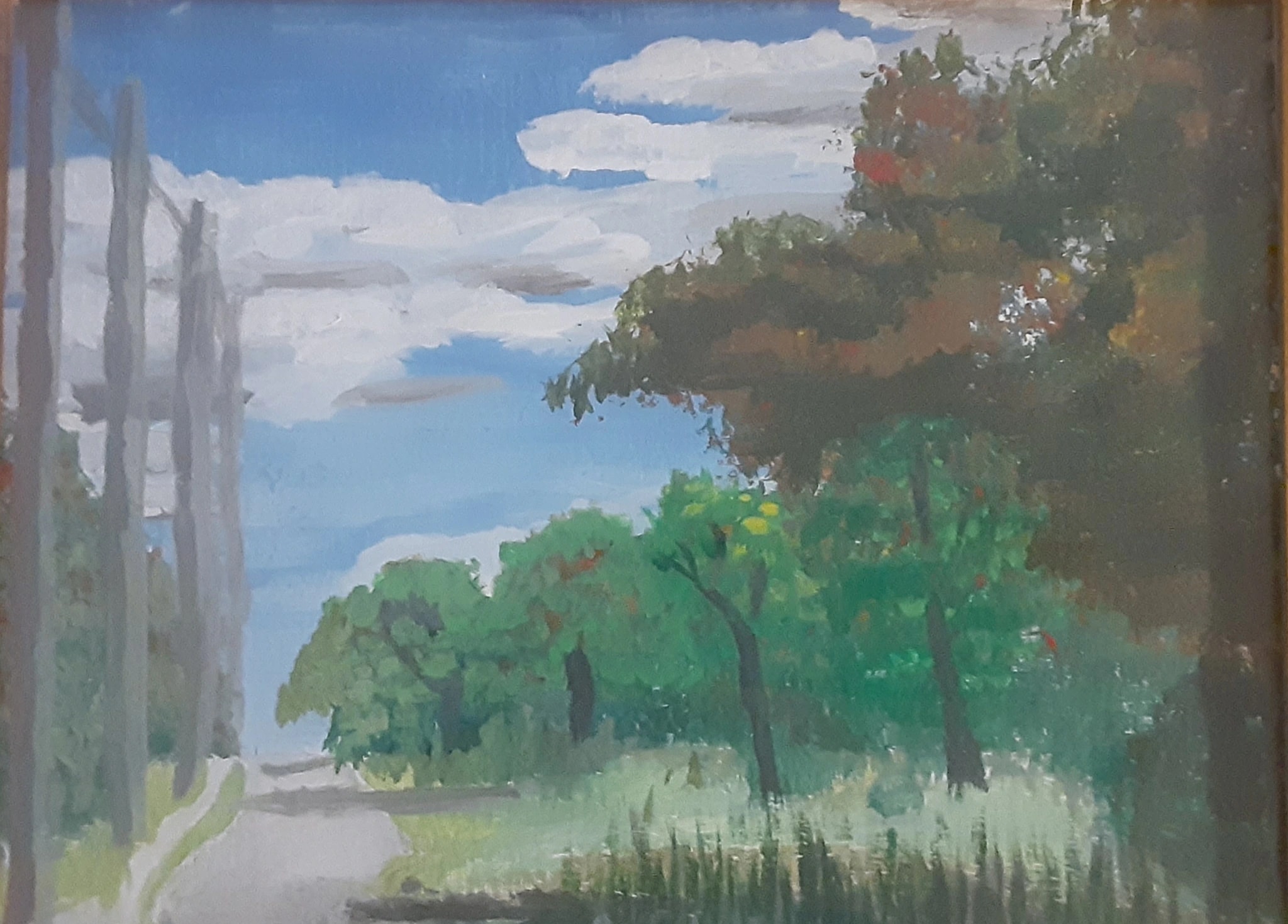 Whispers of Nature: A Serene Journey Through Trees and Sky