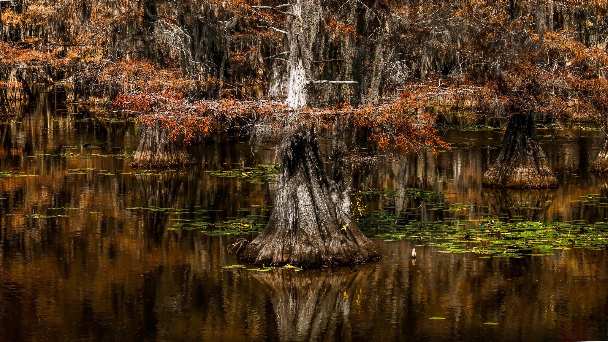 The Angels Tree