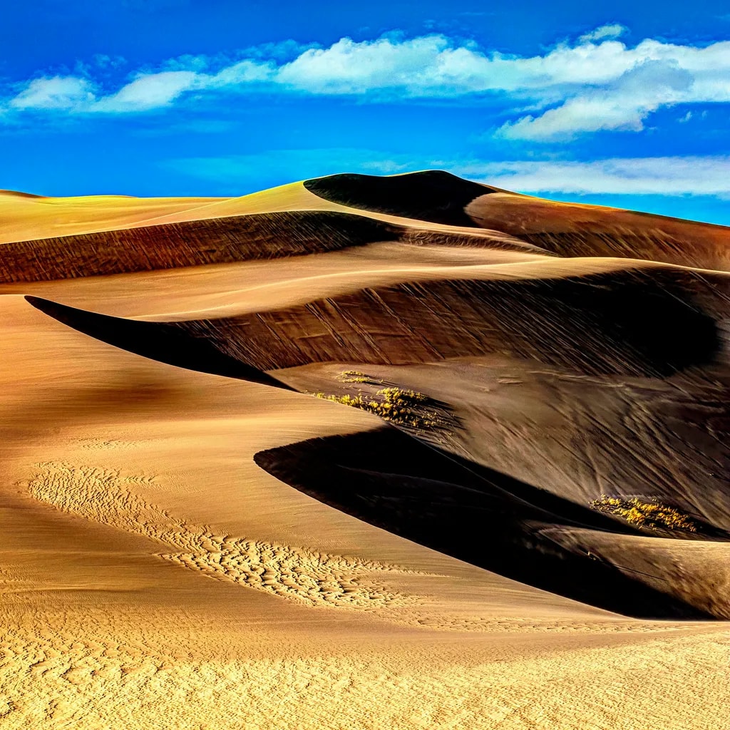 Fusion Dunes