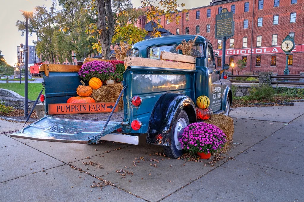 The Savory Gourmet Truck