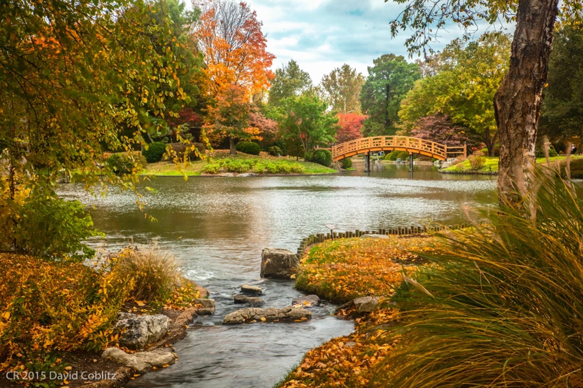 Japanese Garden Bridge Fall
