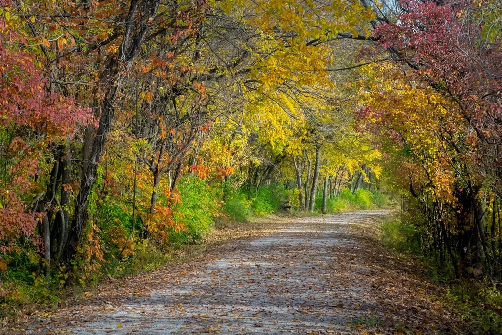 Katy Trail Fall