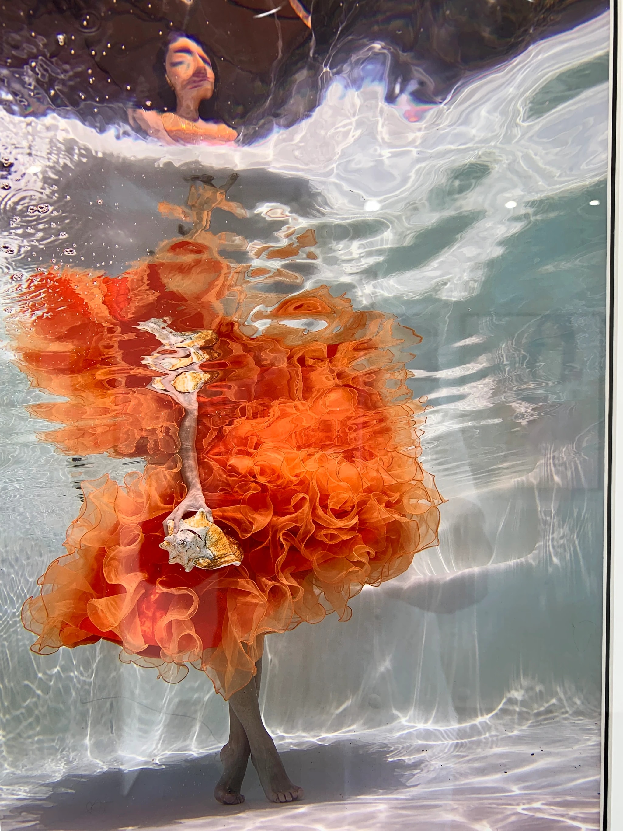 Underwater Elegance