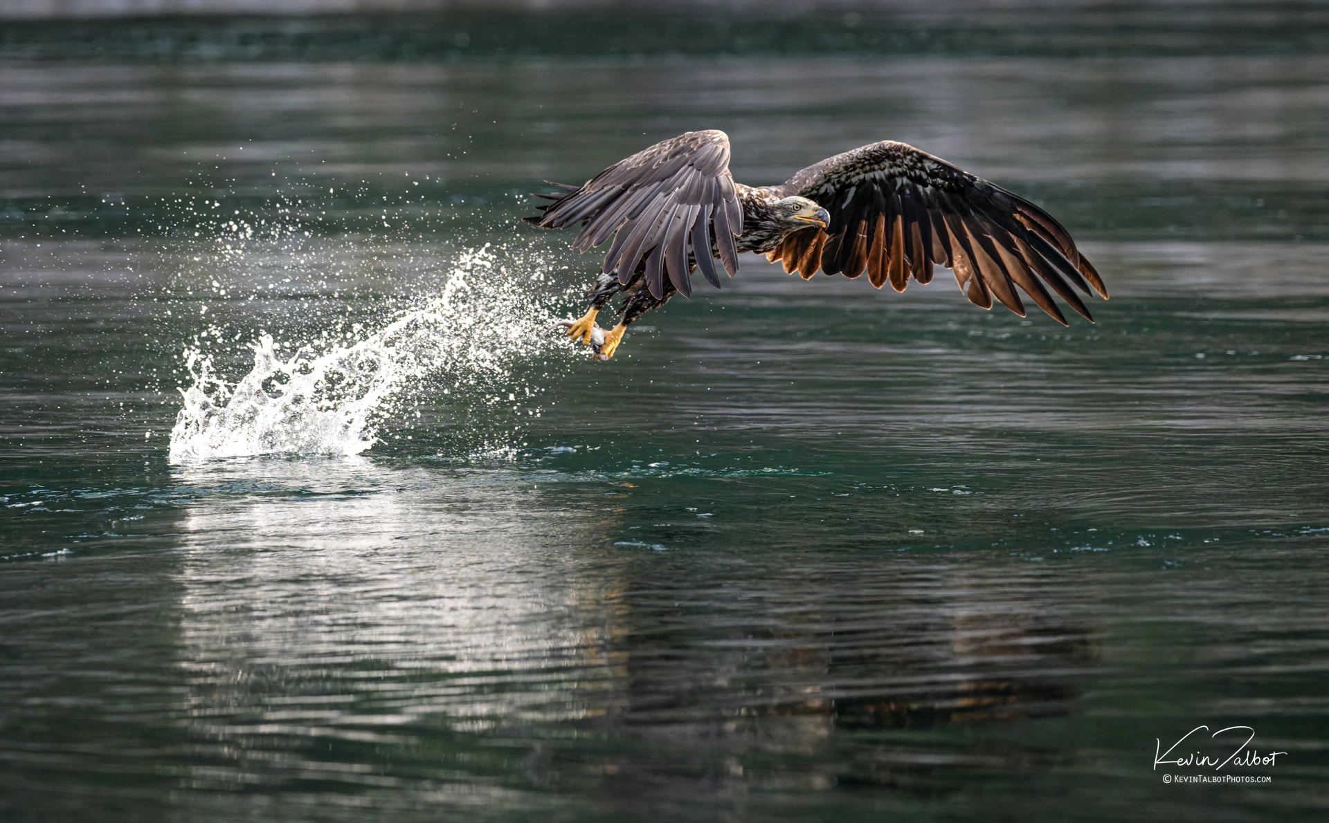 Eagle Takeoff