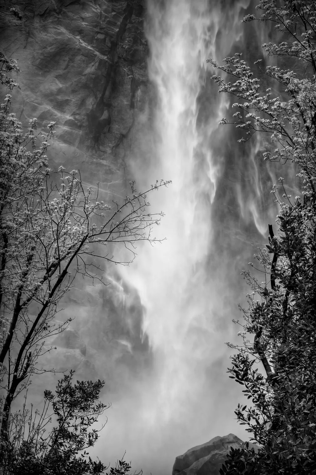 Timeless Descent