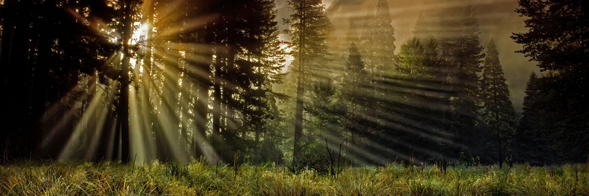 Dawns Early Light (pano) (small)